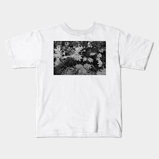 Glacier National Park Ferns in black and white Kids T-Shirt